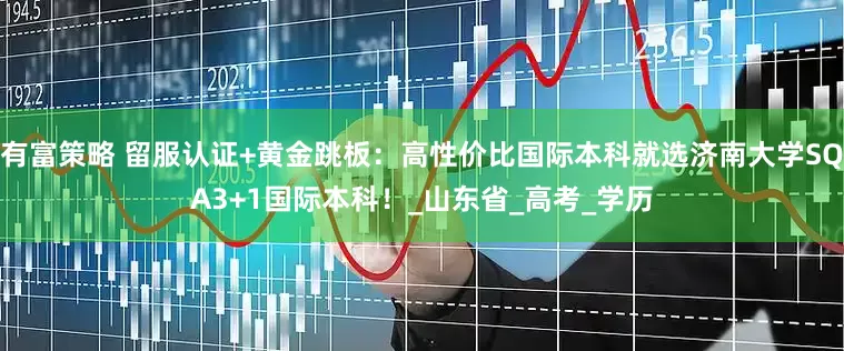 有富策略 留服认证+黄金跳板：高性价比国际本科就选济南大学SQA3+1国际本科！_山东省_高考_学历